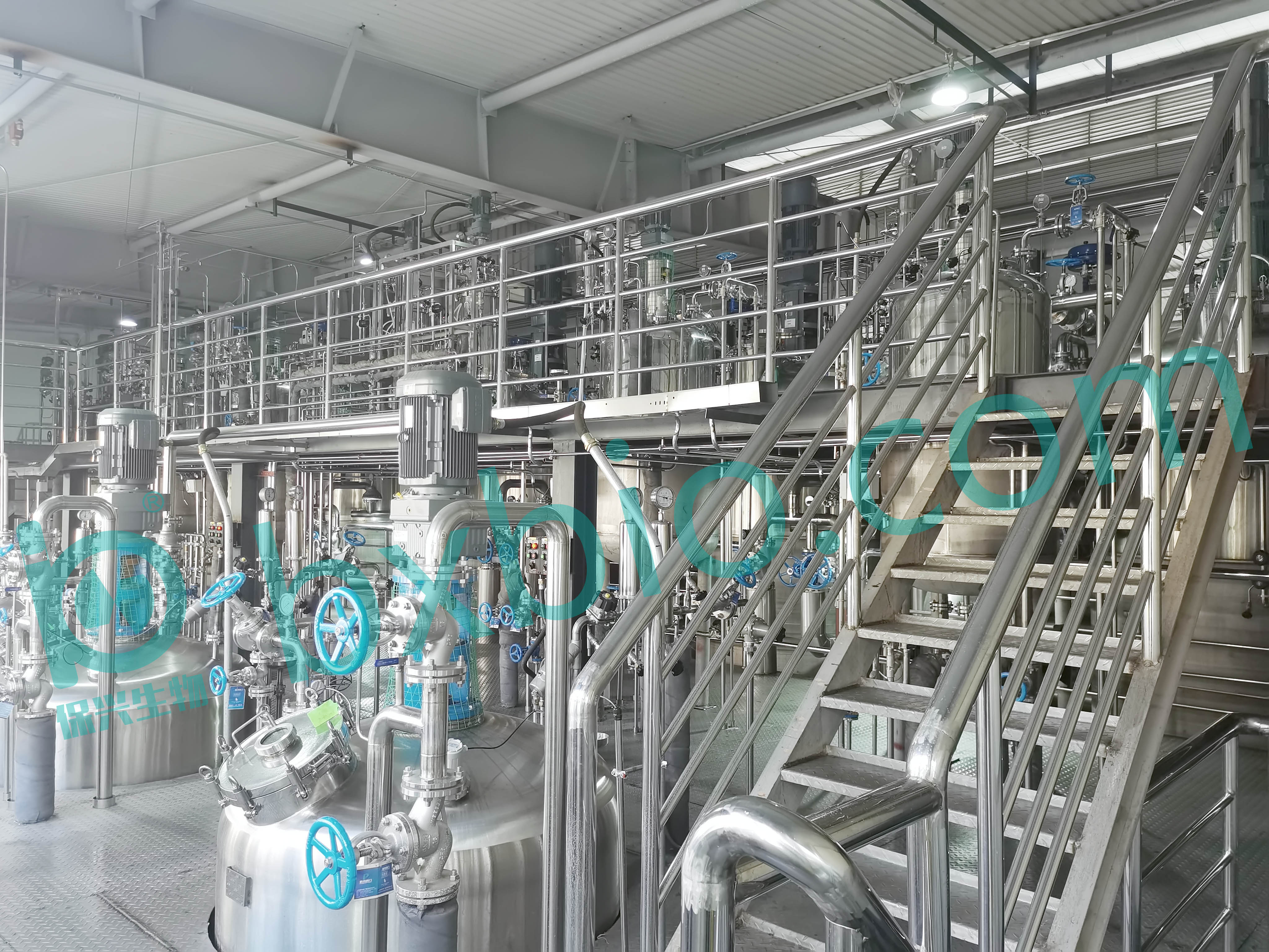 Large fermentation production b