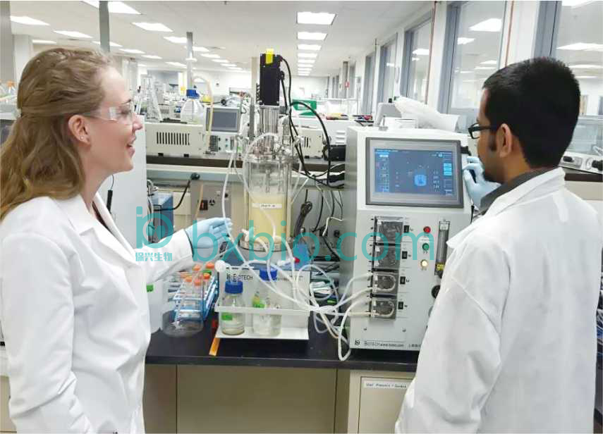 International Customer